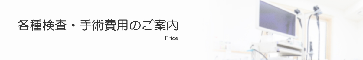 各種検査・手術費用のご案内